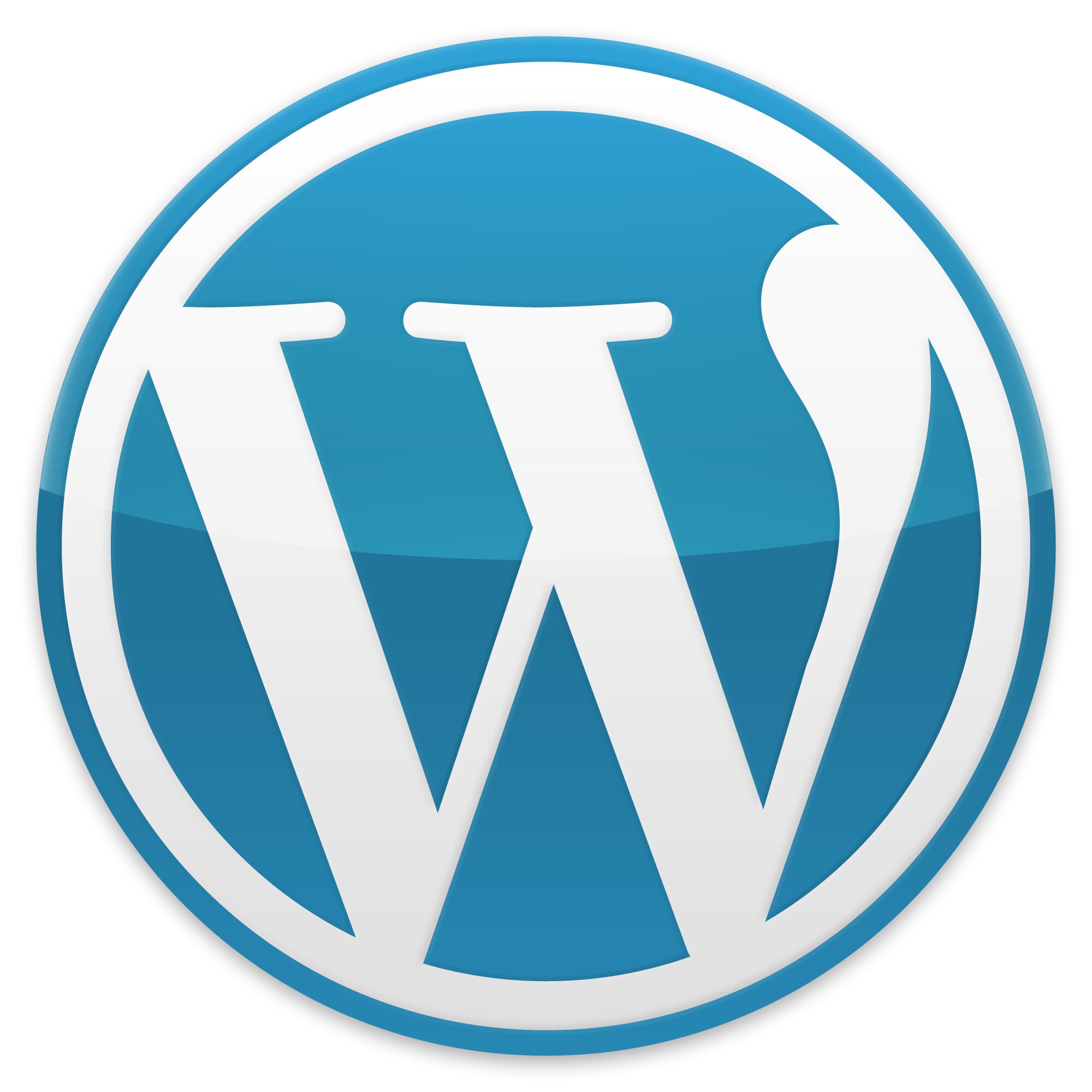 wordpress-development-company-pondicherry